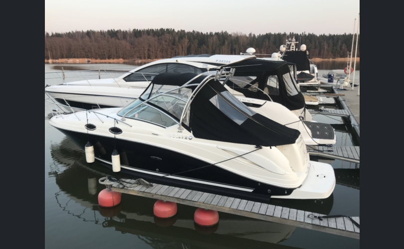 Sea Ray 275 Amberjack-kuva-6